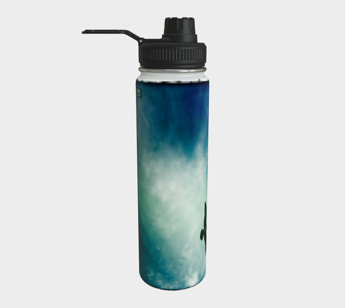 Sea Gull Freedom Flight