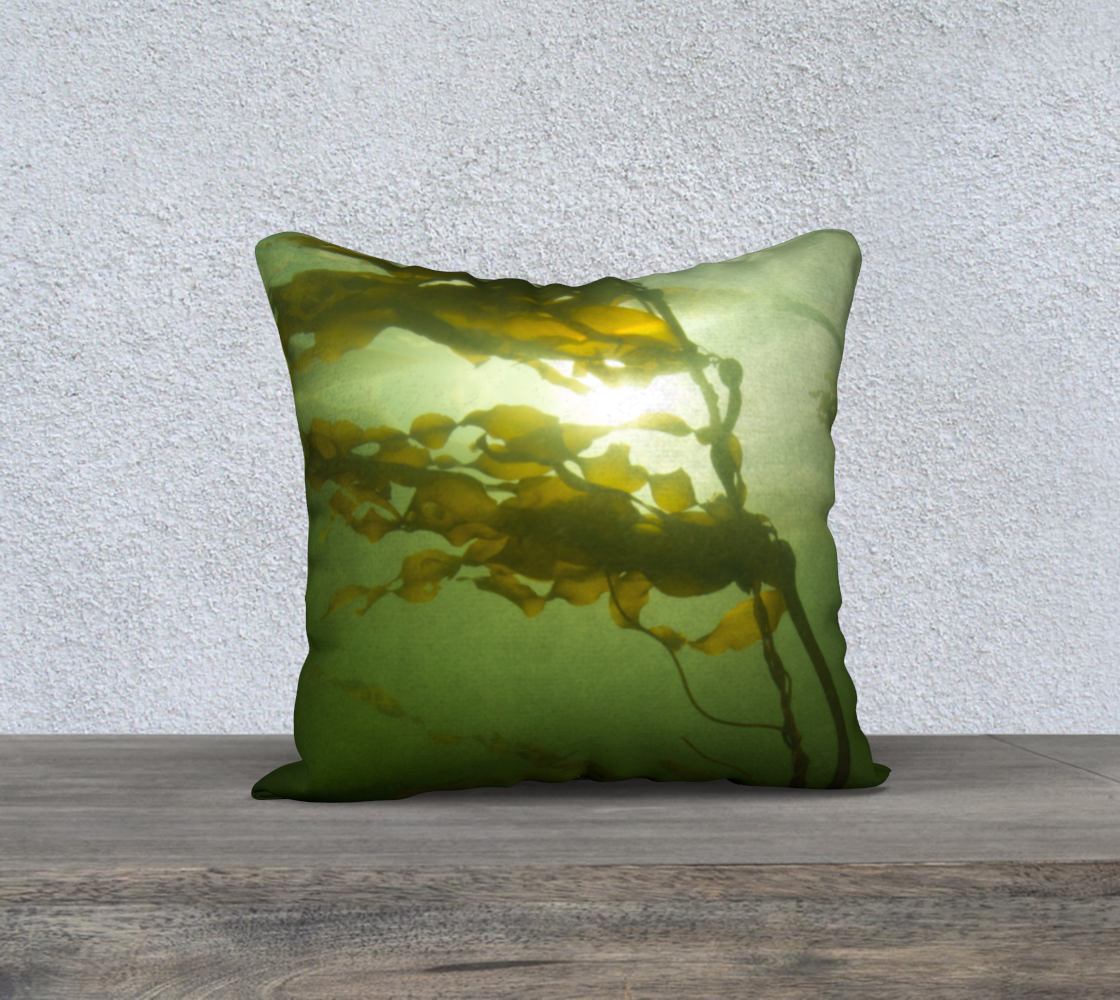Kelp