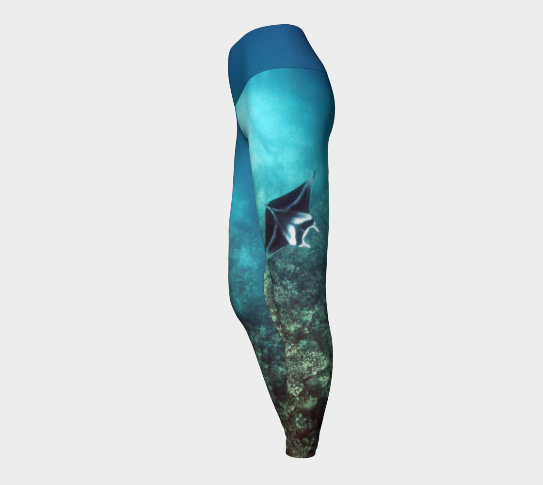 Manta Ray
