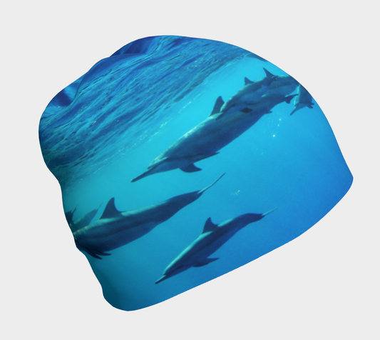 Mermaid and dolphin friends