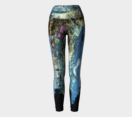 Lilypad and the Mermaid