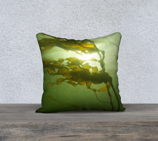 Kelp