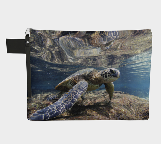 Sea Turtle