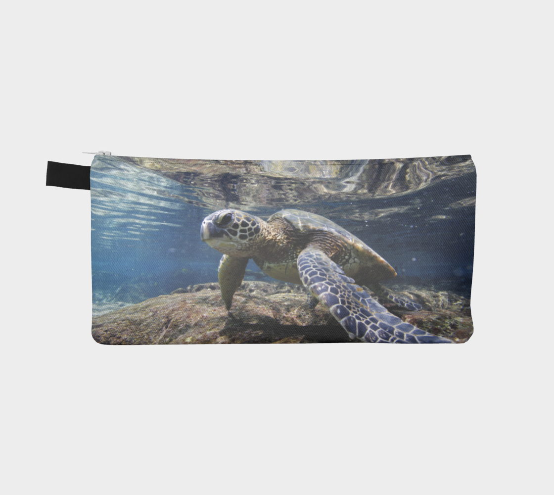 Sea Turtle