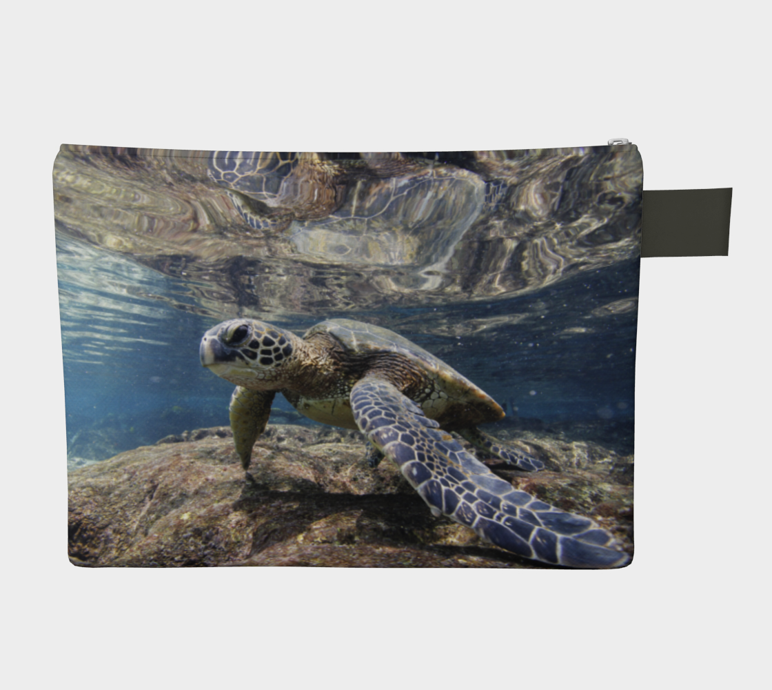 Sea Turtle
