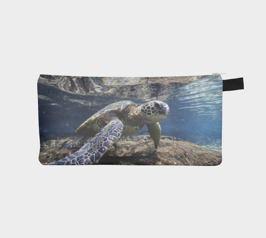 Sea Turtle